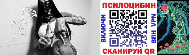 Псилоцибиновые грибы GOLDEN TEACHER Нолинск