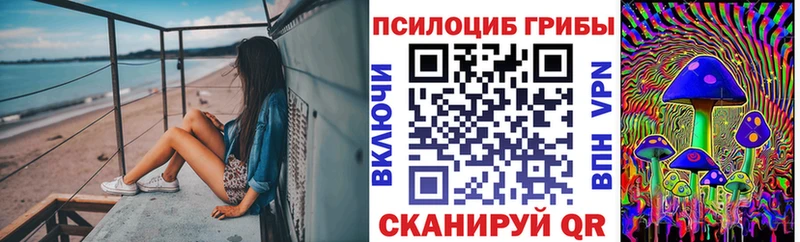 Галлюциногенные грибы Psilocybine cubensis  как найти закладки  Нолинск 